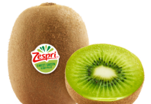 Kiwi Time