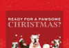 Pawsome Christmas with Café Coffee Day