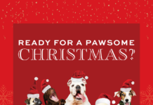 Pawsome Christmas with Café Coffee Day